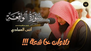 تراتيل خاشعة وإبداعية لسورة الواقعة بصوت الشيخ أنس العمادي