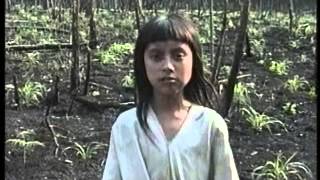 Play video: MEX A Converted