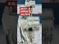 密歇根湖岸線宛若冰河時代－ BBC News 中文