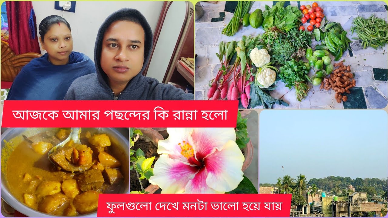 আজকে বাজার থেকে আমার পছন্দের কি আনলো || জবা ফুল দুটো আমার খুব পছন্দের ||