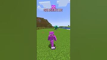 An INVISIBLE and USEFUL Elevator in Minecraft! 😱 ⛏️ #shorts