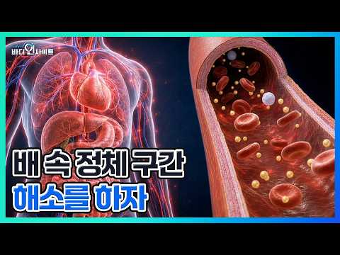 툭하면 체하고 차던 이유? 나이 들면 급감하는 소화 효소 MBN 260803 방송