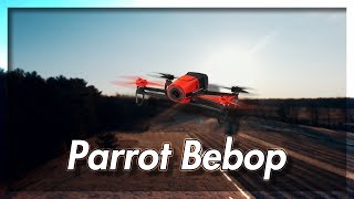 I Bought A Drone | Parrot Bebop 1