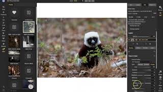 Chasing Frames Episode 11 - The Land of Lemurs - After the Shot