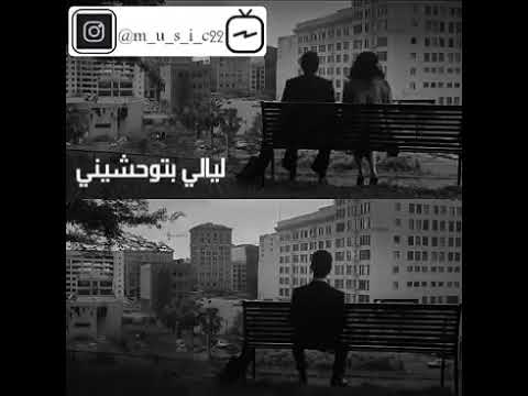 ليالي بتوحشيني وقلبي يتالم