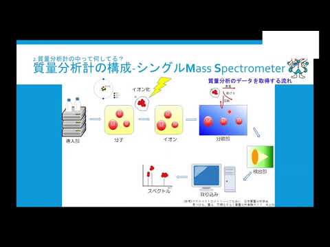 質量分析の概要