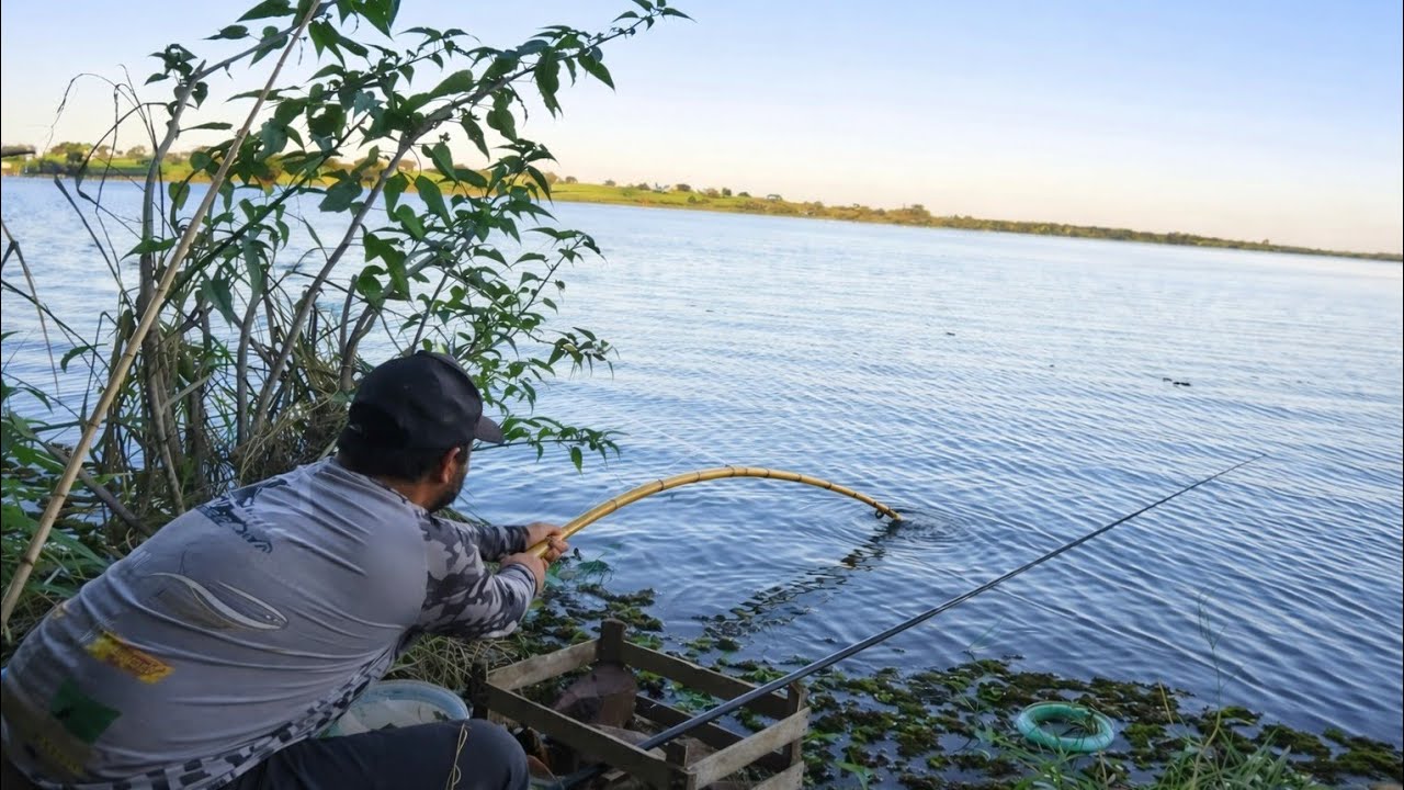Meu Deus Começaram a Encostar na ceva Os GIGANTES. 