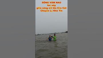 CHUYỆN LẠ SÔNG VÀM NAO NỔI LÊN CỒN CÁT bà con đến đông khủng khiếp để tắm cồn #shorts