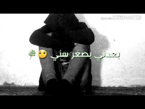 ستوري موال شيباني 