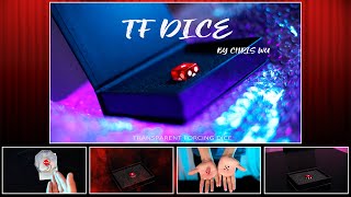 TF DICE by Chris Wu