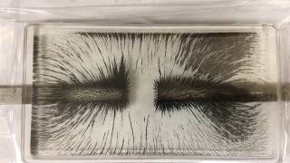 Magnetism Rotation Lab
