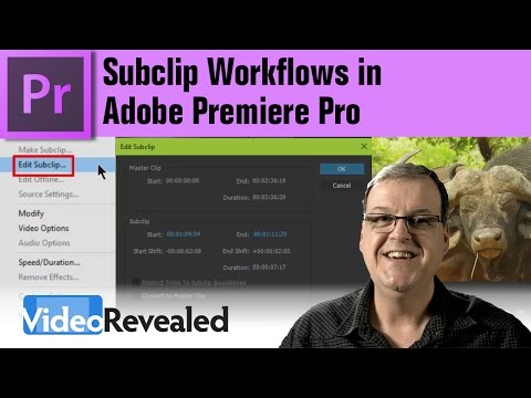 Subclip Workflows in Adobe Premiere Pro
