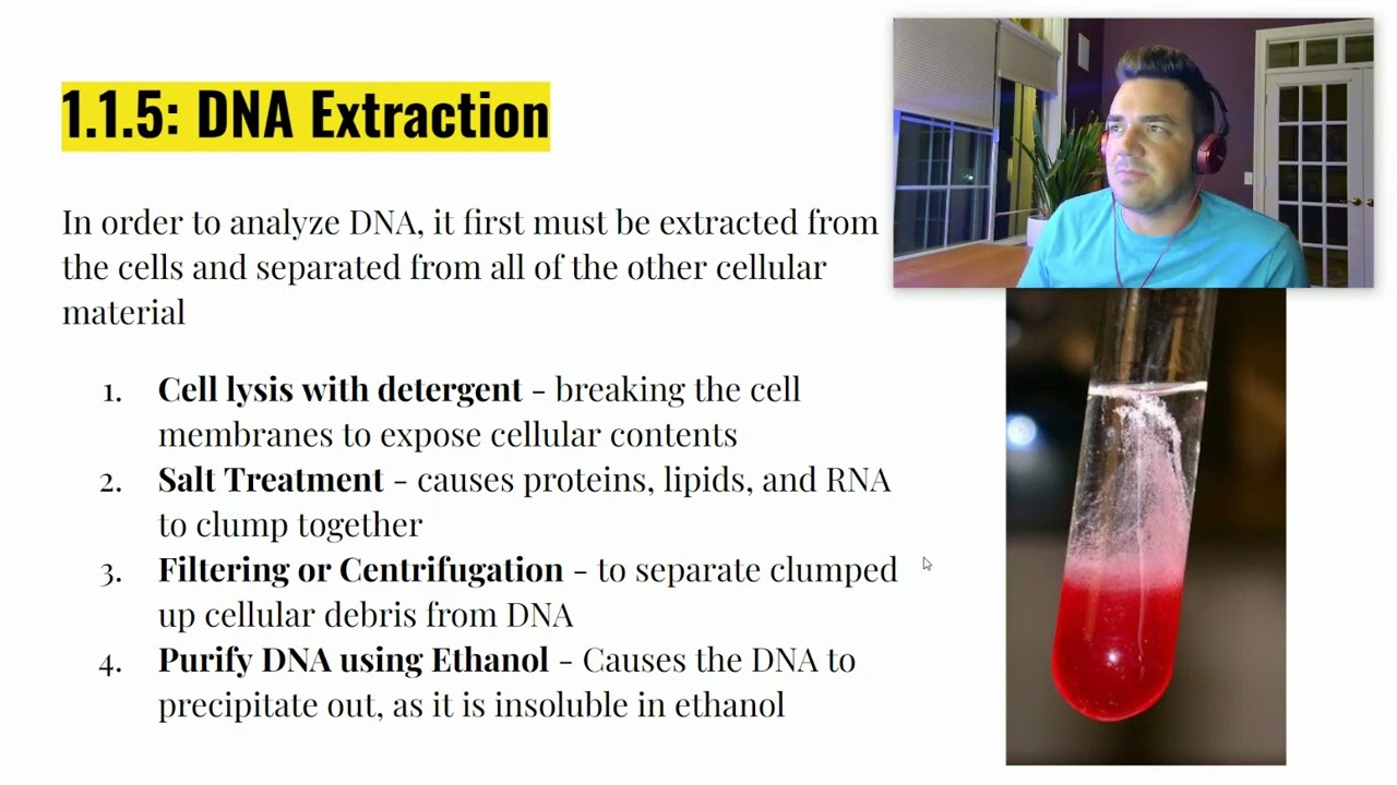1.1.5: DNA Profiling
