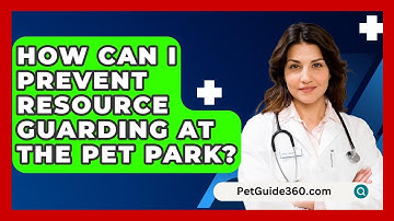 How Can I Prevent Resource Guarding At The Pet Park? - PetGuide360.com