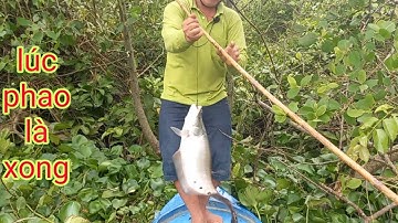 Đầu Năm Đi Câu Mất Luôn Chân Vịt Máy/Định Nguyễn Hậu Giang/