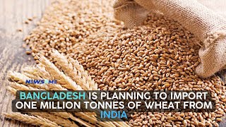 Bangladesh is planning to import one million tonnes of wheat from India | NewsRme