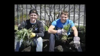 Project SHINE 2016
