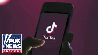 Is Biden doing enough to protect Americans from TikTok?