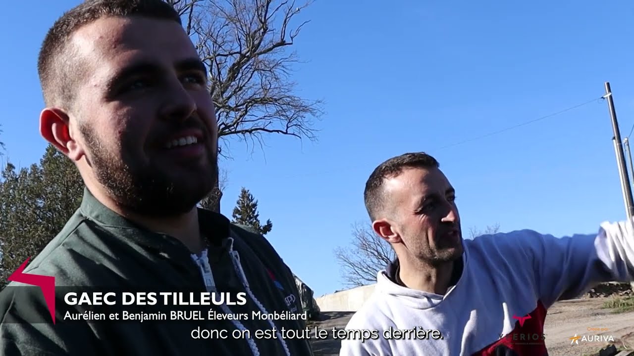 Marché aux veaux de Saint-Laurent-de-Chamousset - le plébiscite des veaux YPERIOS