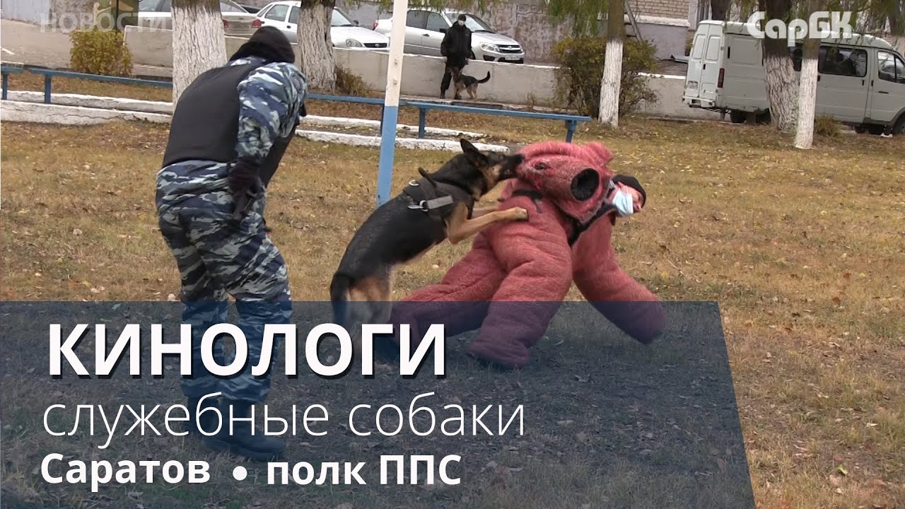 Полк ппсп умвд россии по г саратову Полк ппсп умвд россии по г саратову