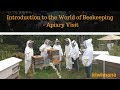 Introduction to the world of beekeeping  apiary visit