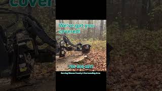SOS! Tree & Stump Removal Services