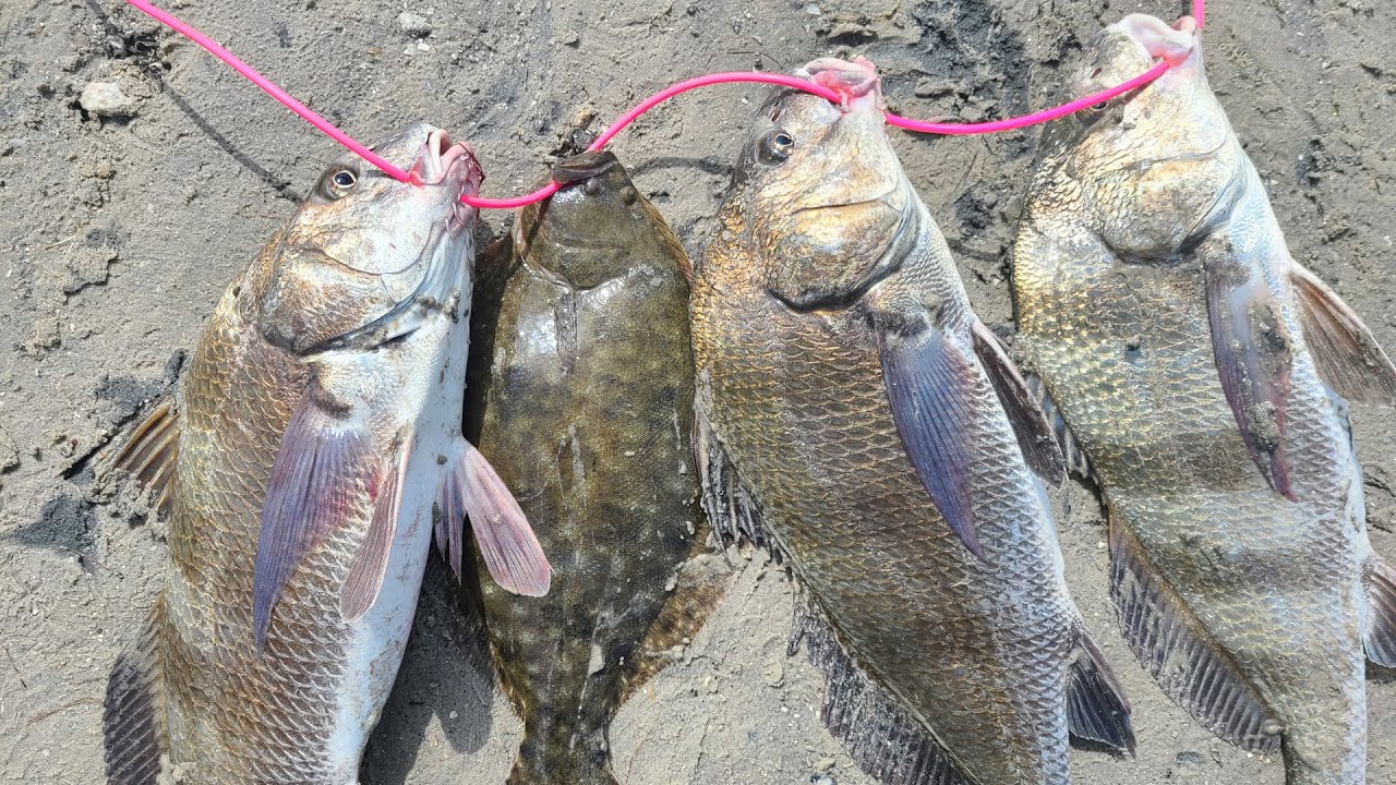 chinese manufacturers of fishing lures Chinese Quality Fishing Tackle Manufacturers