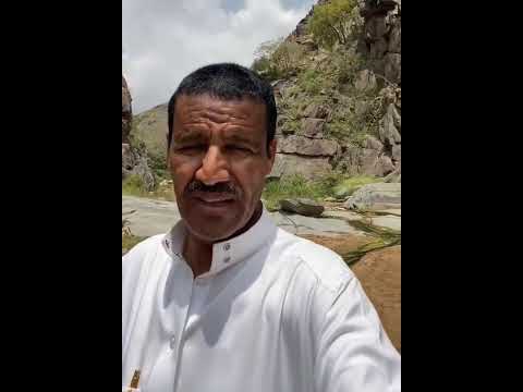 خالد عبدالرحمن جيزان الجمال والطبيعة