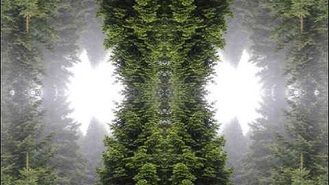 Fuzzy Logic - Double Barrel