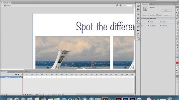 Flash Spot the differences