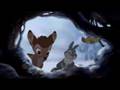You Ve Got A Friend Bambi The Count Down Kids 