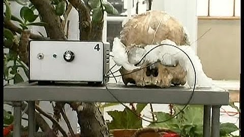 DisinfoTV: Duncan Laurie