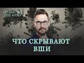 Вшивое дело. Как мы победили сыпной тиф