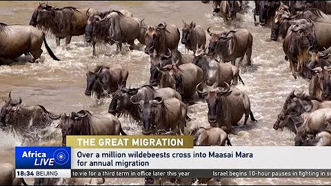 Tracking Africa’s greatest wildlife migration thumbnail