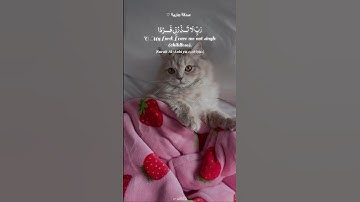 ربي يرزقكم من يؤنس قلوبكم⁠♡ | ﴿رب لا تذرني فرداً وأنت خيرُ الوارثين﴾ سورة الأنبياء | جابر القيطان