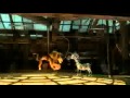 Madagascar 3 Los Fugitivos Triler Oficial Espaol Latino Madagascar 3 Los Fugitivos Triler Oficial Espaol Latino