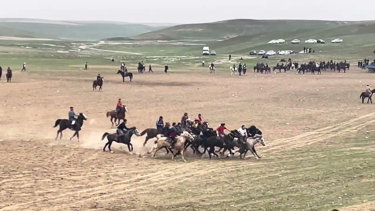 Navoi viloyati Xatirchi tumani uchqora mahhalasida kopkar 2026.02.14