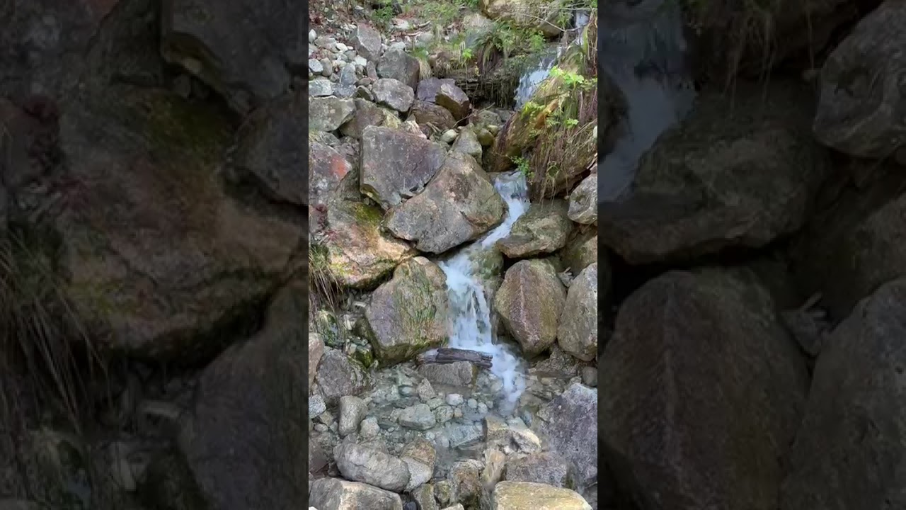 Serene Stream Murmurs | Nature Flow