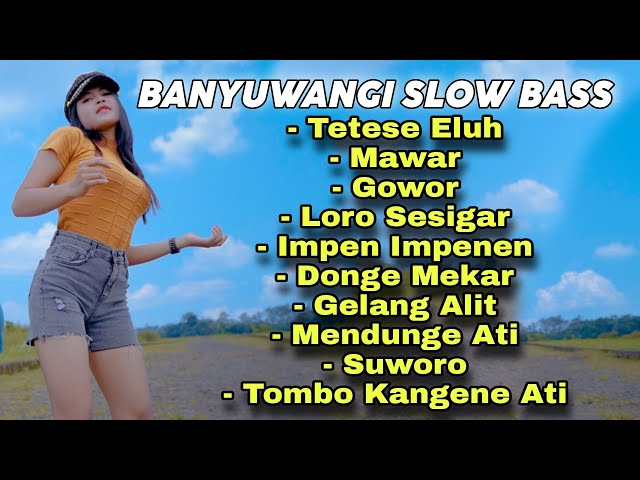 DJ BANYUWANGI SLOW BASS 69 PROJECT class=