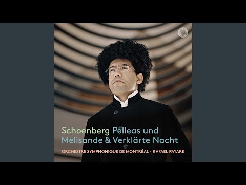 Putar Verklärte Nacht, Op. 4: Grave - Orchestre symphonique de Montréal