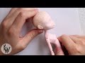 Beginning of video