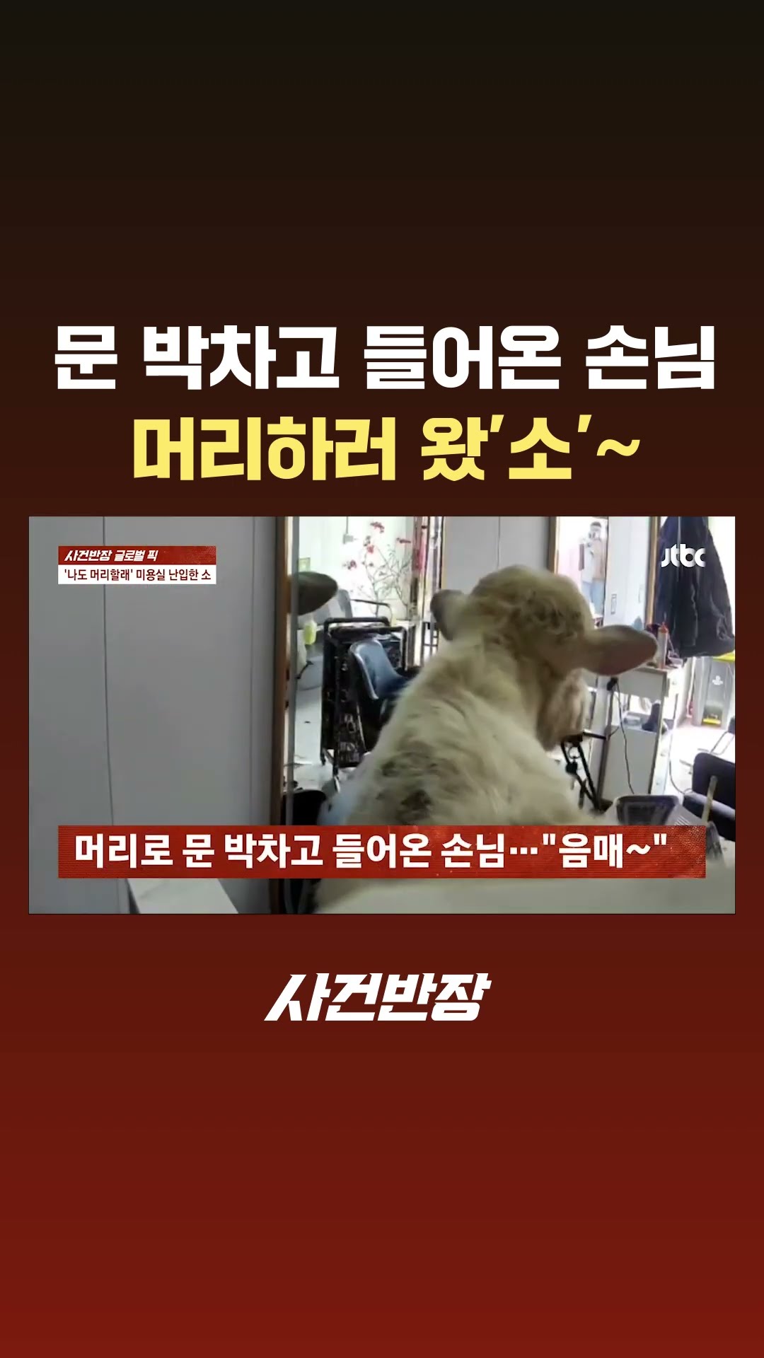 문 박차고 들어온 손님이…머리하러 왔'소'~? #JTBC #Shorts