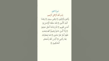 القرآن الكريم سورة التين #علاء_عقل #قران_كريم #اكسبلور