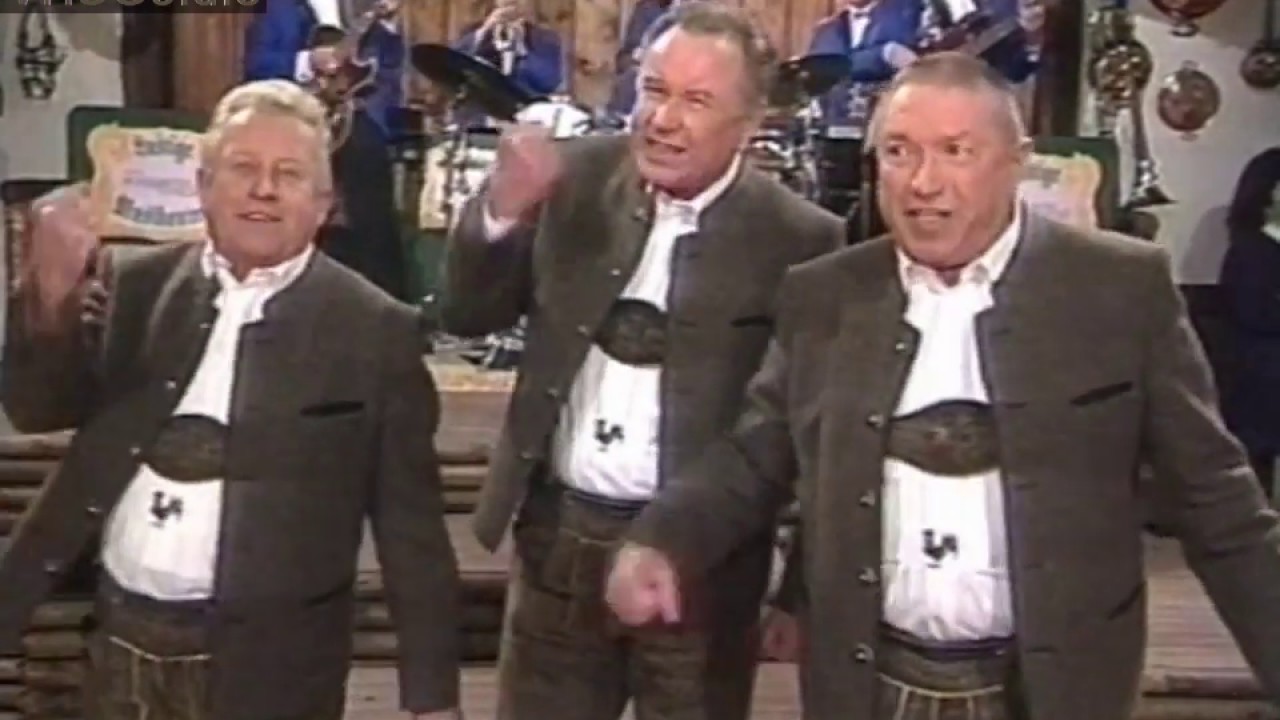 Die 3 lustigen Moosacher - A Bier woll'n ma ham - 1993