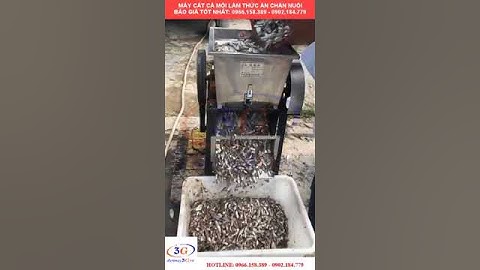 Máy Cắt Cá Tươi, Cá Mồi Nuôi Thủy Sản, Hải Sản, Ba Ba,...| Điện Máy 3G