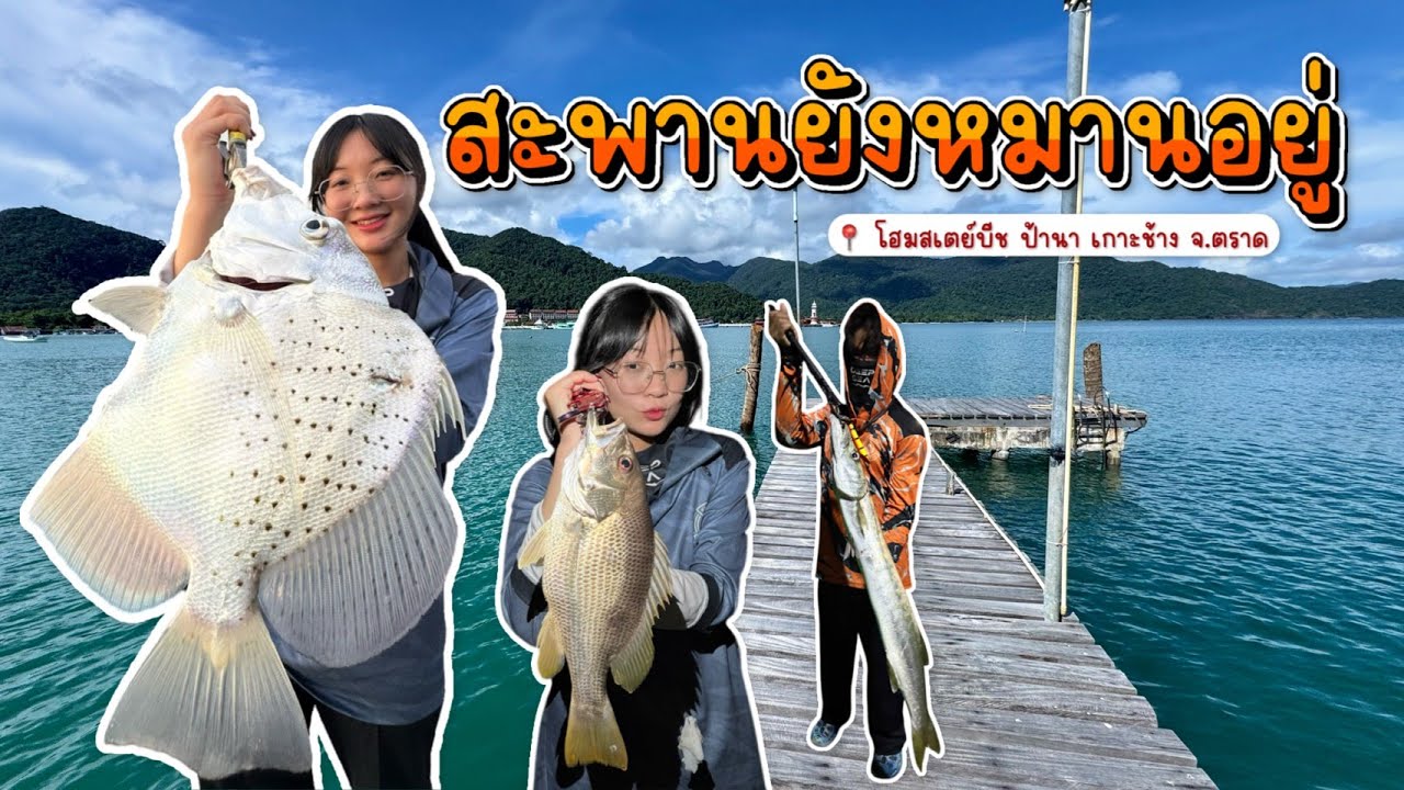 ตกปลาที่สะพาน - โฮมสเตย์บีชป้านา (ตราดข้ามเกาะ EP.7)