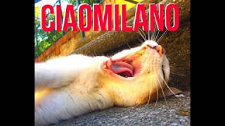 Video thumbnail of "CIAOMILANO (la versione Casalino)"