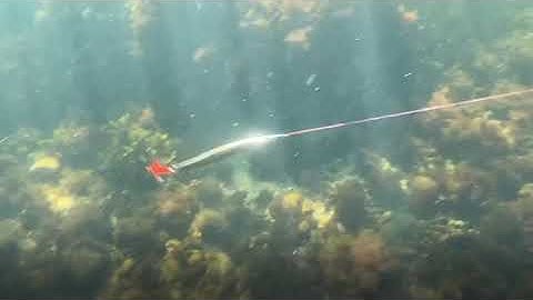 UV-painted treble hooks BKK Fangs BT621-UVO (Spear 21 UVO)