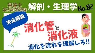 【解剖生理学】消化の流れ　～消化管と消化液～