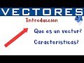 Vectores Introducción | Qué es un vector y sus características